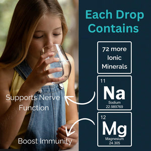 MAYU Trace Mineral Drops - 1 Bottle - 80+ Full-Spectrum Ionic Minerals for Water - Great-Tasting Mineral Supplement for Hydration - Magnesium, Potassium & Zinc - No Additives - 30 Servings mayu buy supplements Au