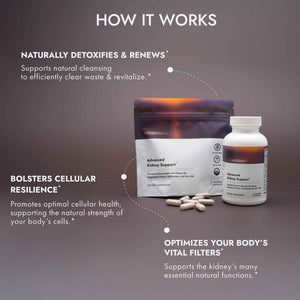 supplement productsAxobotanica Kidney Cleanse Detox & Repair - Vitamin B6, Magnesium, L-Glutamine & Cornsilk - Kidney Support Supplement, Urinary Flow & Bladder Comfort - JerryCherryUSA
