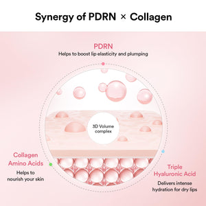 Abib PDRN Collagen Lip Mask Glazed Jelly 0.38 fl oz | Korean Lip Butter Balm Overnight Sleeping Mask Hydrating Care Moisturizer Treatment for Flakey, Dry Lips AbibBuy Supplements Australia