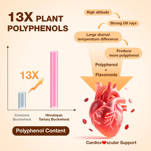 Nokuba Polyphenols Supplement for Immune Support | Himalayan Tartary Buckwheat Sourced | Polyphenol Superfood with Quercetin, Curcumin | Immune Booster, Antioxidant, Anti-inflammatory - 120 Capsules Nokuba buy supplements Au