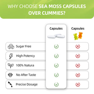 HEALOADING Sea Moss Capsules:Wildcrafted Organic Irish Seamoss & Bladderwack - Rich in Minerals, Supports Thyroid Health, Digestion, Skin & Immune System - Vegan, Non-GMO HEALOADINGBuy Supplements Australia