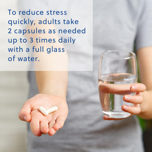 Relacore Quick Calm Mood Support Supplement with Ashwagandha, L-Theanine, Rapid Stress Relief and Relaxation – Cortisol Supplement - 60 ct Relacore buy supplements Au