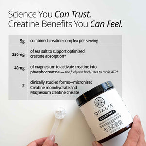 Qualia Creatine | Advanced Creatine Complex | 2 Sources + Magnesium | Optimized Absorption | Muscle Performance, Brain Function, & Healthy Aging (30 Servings)