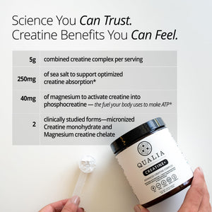 Qualia Creatine | Advanced Creatine Complex | 2 Sources + Magnesium | Optimized Absorption | Muscle Performance, Brain Function, & Healthy Aging (30 Servings) QUALIA LIFE SCIENCES buy supplements Au