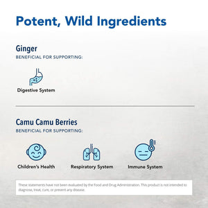 NORTH AMERICAN HERB & SPICE Inflam-eeZ - 90 Capsules - Supports Healthy Immune & Inflammatory Response - Ginger Root, Camu Camu Berries, Bromelain & Papain Plus - Non-GMO - 45 Total Servings NORTH AMERICAN HERB & SPICE buy supplements Au