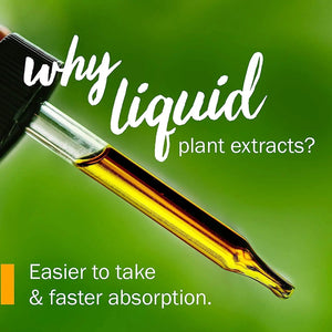 Herb Pharm Uva Ursi Liquid ExtraCount for Urinary System Support, 1 Fl Oz Herb PharmBuy Supplements Australia