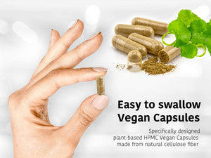 DR WAKDE'S Trivrit Capsules (Nishottar, 60 Veg Caps, Plant-Based Supplement, Ayurvedic Herb, All Natural, Vegan) DR WAKDE's buy supplements Au