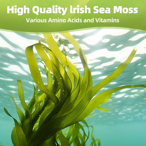 HEALOADING Sea Moss Capsules:Wildcrafted Organic Irish Seamoss & Bladderwack - Rich in Minerals, Supports Thyroid Health, Digestion, Skin & Immune System - Vegan, Non-GMO HEALOADINGBuy Supplements Australia