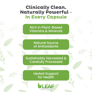 B'LEAF NATURE Moringa and Quercetin Bundle - Non-GMO, Vegan, High Absorption Capsules - 1000mg Quercetin Phytosome Blend + 1000mg Moringa - Natural Energy, Wellness and Immune Support Supplements B'LEAF NATURE buy supplements Au