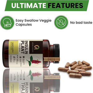 Afiyah Organic - Premium Quality Costus Igneus (Insulin Plant) Capsules - Easy to Swallow 120 Veggie Capsules (1 Month Supply) - Made in the USA - Including Complete Health Support Program Afiyah Organic buy supplements Au