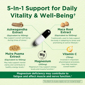 Caffeine Free Natural Energy Boost with Ashwagandha, Maca & Magnesium - Support Stress Relief, Focus & Mood - 60 Capsules by Innervis Nutrition INNERVISNUTRITION buy supplements Au