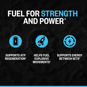 ONNIT Creatine Monohydrate Powder – Unflavored, 90-Serving Value Size – Supports Strength, Lean Muscle, and Brain Energy† – Keto Friendly