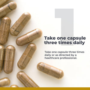 Premier Research Labs RenaVen - Premier Kidney Support for Kidney Cleanse Detox and Repair | Improve Kidney Function and Urinary Support with Fermented Cordyceps - 60 Plant-Source Capsules Premier Research LabsBuy Supplements Australia