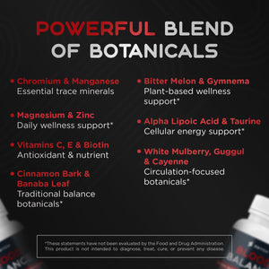 Blood Balance Supplement for Healthy Blood Support, Circulation, Metabolism & Vitality | Energy Formula with Premium Ingredients | Holistic Products to Support Cardiovascular Function – 60 Capsules SWYCH buy supplements Au