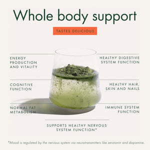 WelleCo The Super Elixir Daily Greens Powder, Probiotic Drink Mix with Whole Foods, Gluten Free, Vegan Gut Health Powder, Energy, Immunity, Healthy Skin, Hair & Nails (Jar, Blood Orange) WelleCo buy supplements Au