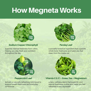 MEGNETA Body Deodorizing Supplement, Natural Internal Odor Control Pills for Men & Women, Chlorophyll Capsules for Skin, Breath and Gut Health (60 Capsules)