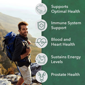PlantFusion Organic Multivitamin for Men - One Daily Whole Food Blend Men's Multivitamin - Vegan, Non-GMO PlantFusion
