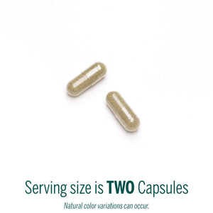 Genestra Brands Black Walnut Capsules | Herbal Formula to Support Digestive Health | 90 Capsules Genestra BrandsBuy Supplements Australia