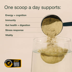 Nuzest Greens Powder Good Green Vitality – Vitamins, Minerals & Superfoods – Vegan Multivitamin Supplement (300g) Nuzest buy supplements Au