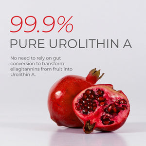 Neurogan Urolithin A PRO Capsules - 1000mg, 120 Ct - Advanced Cellular Health, Post Biotic Supplements - Ultra Micronized Urolithin A Supplement, Sourced from Pomegranate Extract Neurogan buy supplements Au