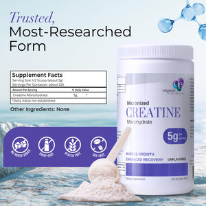 Organic Excellence Creatine Monohydrate – Micronized Creatine Powder for Muscle Growth, Strength & Recovery – Unflavored, 115 Servings Organic ExcellenceBuy Supplements Australia