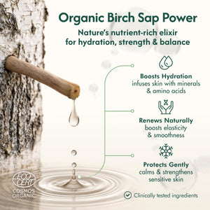 Nordic Organic Birch Sap Face Mist – COSMOS Certified Organic Formula with Hyaluronic Acid & Chaga Mushroom, Fragrance Free, Made in Finland 3.38 oz (100 ml), 1 Bottle Nordic OrganicBuy Supplements Australia