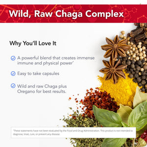 Physician's Strength ChagaStrength - 90 Capsules - Wild, Raw Chaga Complex - Immune & Physical Support - Non-GMO - 90 Servings Physician's Strength buy supplements Au