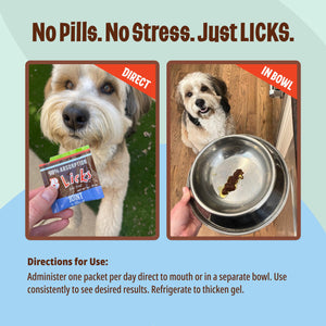 Licks Pill-Free Dog Joint and Heart - Glucosamine & Omega 3 Fish Oil Supplement for Dogs - Inflammation Supplements for Joint Support - Gel Packets - 30 Use Licks Pill FreeBuy Supplements Australia