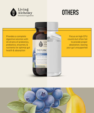Your Flora Probiotic Family – Non-GMO Probiotics with Fermented Soybean, Banana, & Blueberry for Digestion & Gut Support – Prebiotics, Postbiotics, Digestive Enzymes – Living Alchemy, 60 Capsules Living Alchemy buy supplements Au