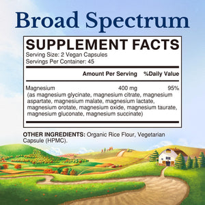 Vitalitown 10 in 1 Magnesium Complex Supplement - 400mg Elemental Magnesium Chelated with Glycinate, Citrate, Malate, Taurate & More - for Sleep Heart Energy - Non-GMO, Vegan, 90 Caps Vitalitown buy supplements Au
