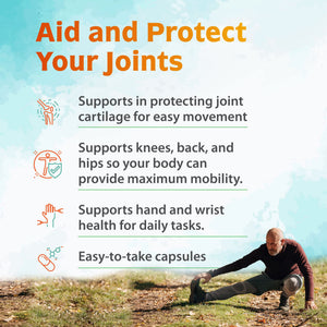 Zenith Labs Joint N-11 Joint Health Supplement Zenith LabsBuy Supplements Australia