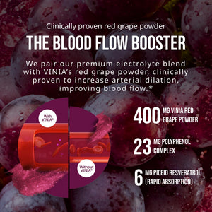 VINIA Resveratrol Electrolyte Hydration Powder Mix | Boost Blood Flow & Circulation | Sea Salt, Coconut Water Potassium, Magnesium, Informed Sport Certified VINIA buy supplements Au