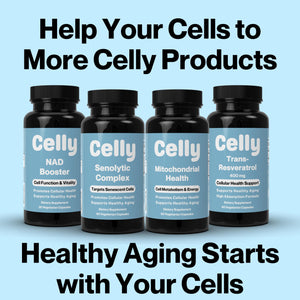 Celly Autophagy Activator | Longevity Supplement for Cellular Nutrition and Healthy Aging | Promotes Cell Renewal with Spermidine, Pterostilbene, Fisetin, and NAC | Made in USA & 3rd Party Tested CellyBuy Supplements Australia