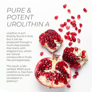 Neurogan Urolithin A PRO Capsules - 1000mg, 120 Ct - Advanced Cellular Health, Post Biotic Supplements - Ultra Micronized Urolithin A Supplement, Sourced from Pomegranate Extract Neurogan buy supplements Au