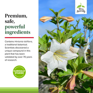 Terry Naturally Sucontral D - B-Complex & Folate Supplement - Carbohydrate Metabolism Support - Vitamin & Mineral Supplement with Zinc & Chromium - 60 Capsules (Pack of 2) Terry NaturallyBuy Supplements Australia