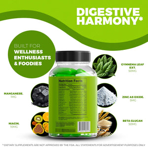 Stemox Gut Energy – Natural Energy & Metabolism Support Supplement with Biotin, Chromium, Alpha Lipoic Acid & Organic Herbal Extracts – Blood Sugar & Gut Health Support – 60 Vegan Capsules Stemox buy supplements Au