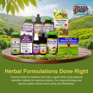 Herbs Etc. Phytocillin - Respiratory & Digestive Health Support Supplement - Herbal Formula to Support Digestion - Support Healthy Breathing - 60 Softgels (60 Servings) Herbs Etc.Buy Supplements Australia