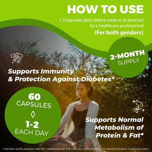 Stemox Gut Energy – Natural Energy & Metabolism Support Supplement with Biotin, Chromium, Alpha Lipoic Acid & Organic Herbal Extracts – Blood Sugar & Gut Health Support – 60 Vegan Capsules Stemox buy supplements Au
