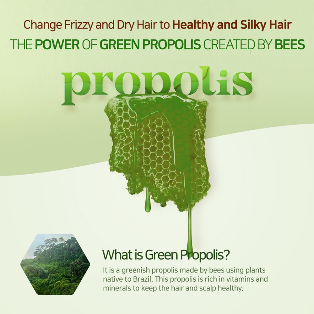 Kerasys Propolis Royal Jelly Extract Green Tea Olive Oil Shiny and Healthy Hair Propolis Green Moisture 33.8 fl oz / 1L (Shampoo, 2-Pack)