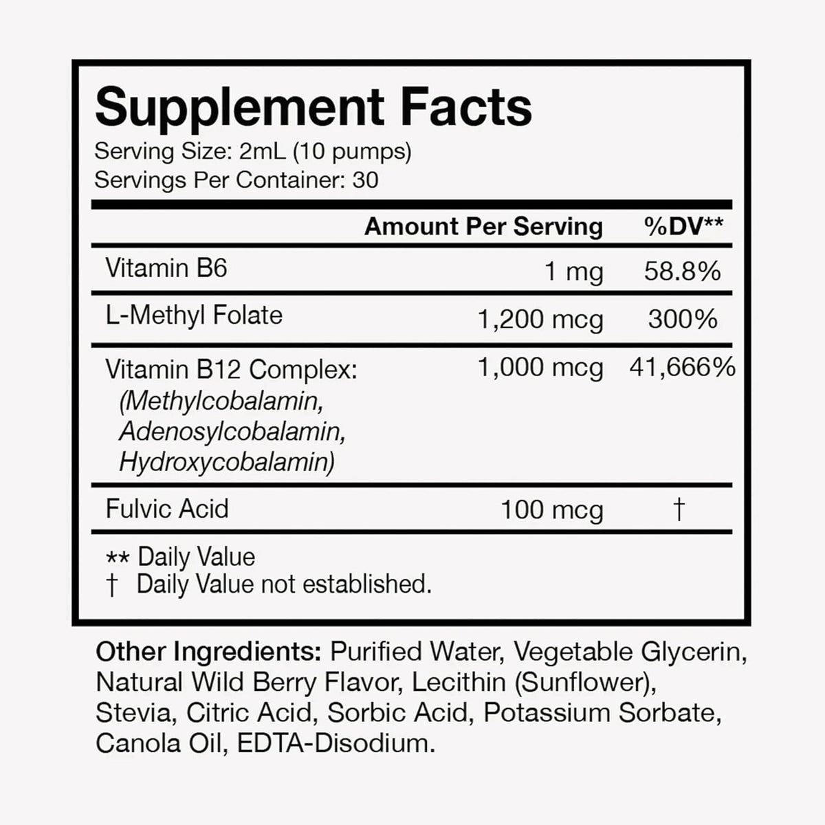 Terra Health Essentials - Liposomal B12 - Support Energy & Mood, Promote Memory, Aid Immune System (1 Bottle, 30 Day Supply)