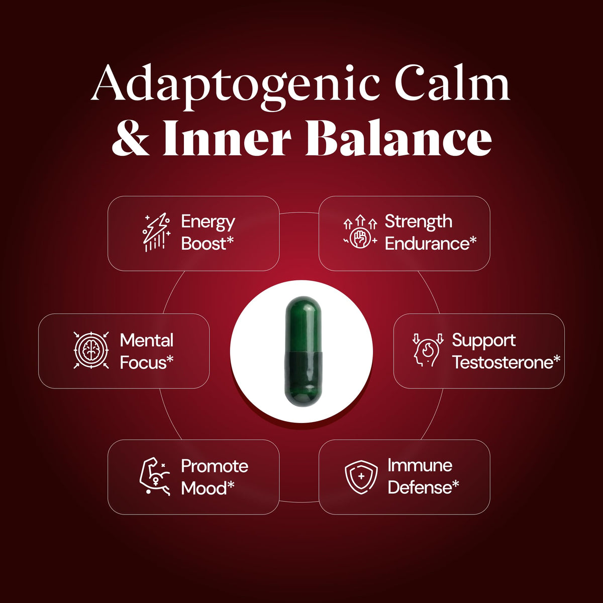 5-in-1 Himalayan Shilajit for Men & Women - 1250mg with Ashwagandha, Tongkat Ali, Maca & Turkesterone - Energy & Vitality Support (60 Vegan Capsules)
