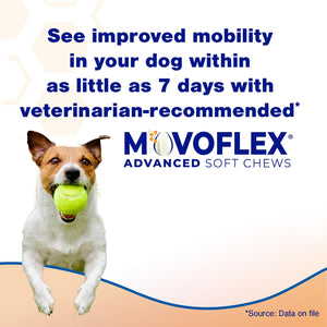 MOVOFLEX Advanced Soft Chews Hip Joint Support Supplement for Large Dogs 60 Count by Virbac MOVOFLEXBuy Supplements Australia