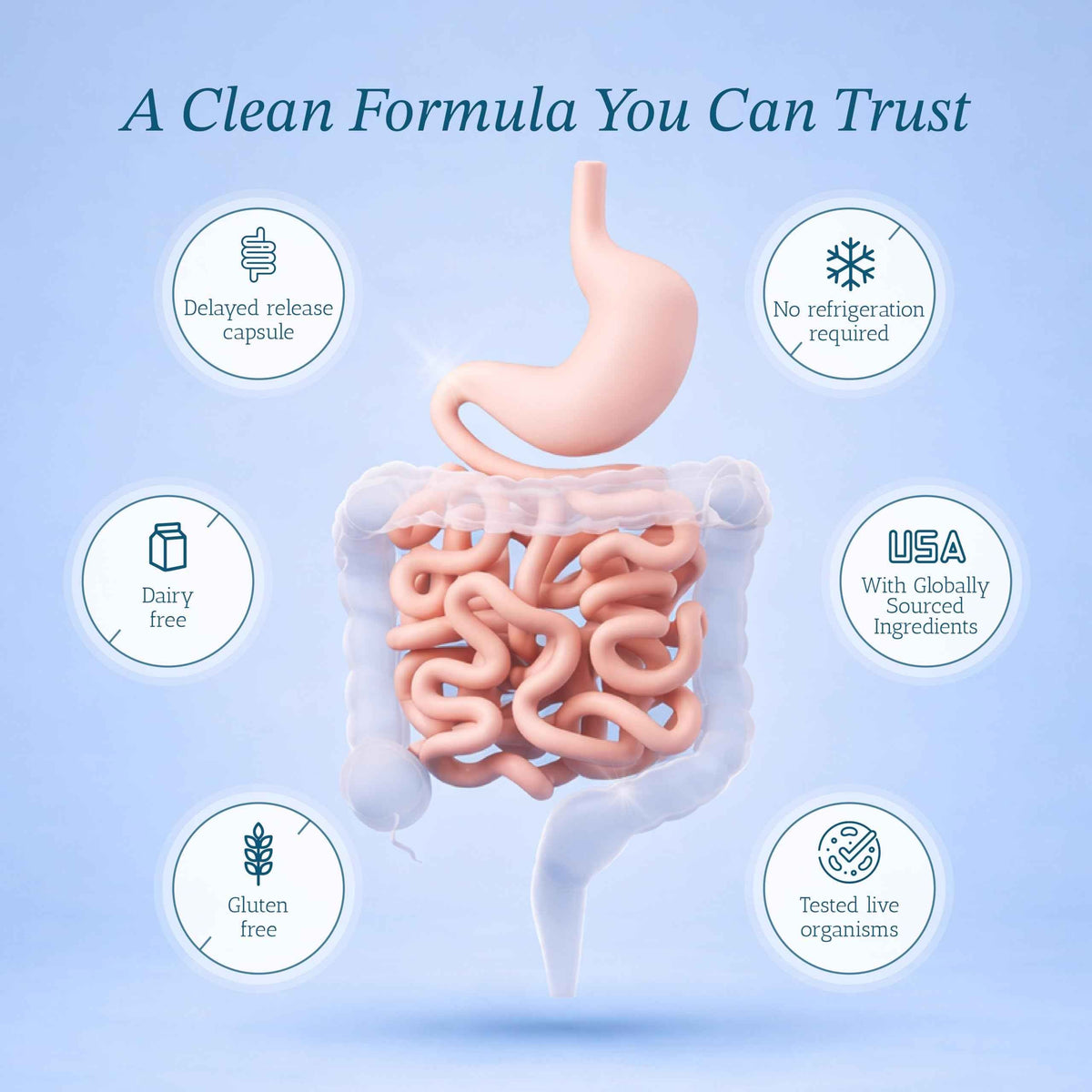 Vitamin Bounty Pro-50 Probiotic 50 Billion CFU - 13 Strain Supplement for Men & Women + Prebiotics - Digestive Health & Gut Support - Lactobacillus & Bifidobacterium - Delayed Release Capsules, 2 Pack