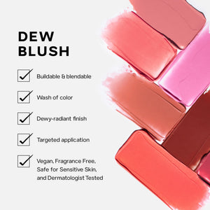 Saie Dew Liquid Blush for Cheeks - Hydrating Cream Blush Stick with a Blendable + Buildable Formula - Skincare Infused Dewy Cheek Tint for a Natural Flush - Glowy Makeup Essential - Lady (.40 oz) SaieBuy Supplements Australia