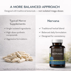 Perennial Nervana – Herbal Nerve Support for Tingling, Burning & Numbness Relief – Promotes Calm Focus & Stress Resilience – Non-Drowsy Mood Balance – 120ct* PerennialBuy Supplements Australia