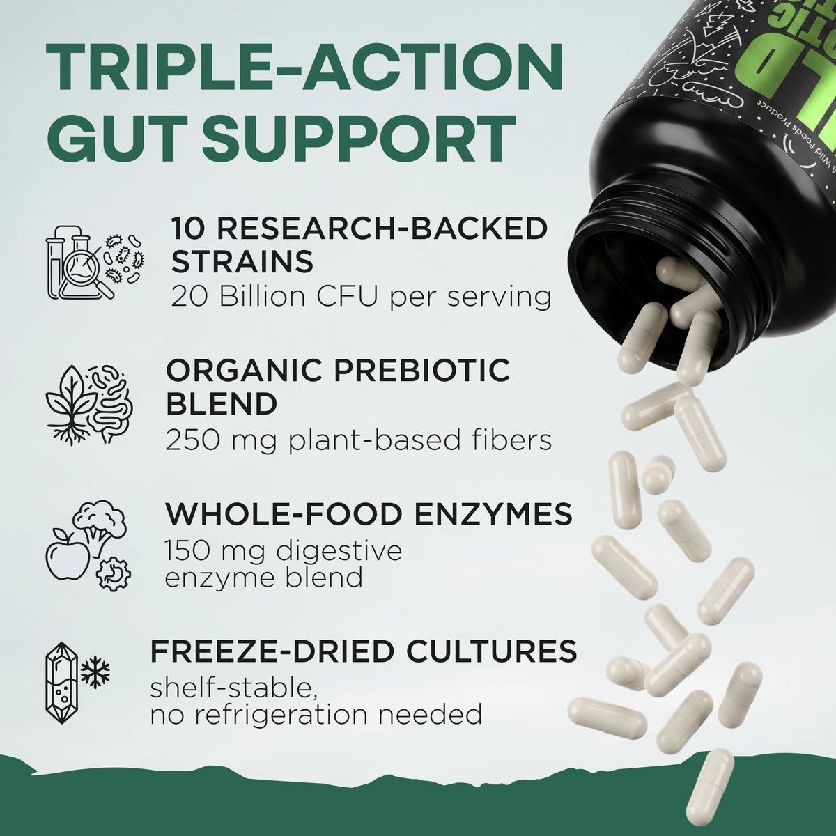 Wild Prebiotics and Probiotics with Digestive Enzymes - 20 Billion CFU - 10 Strains for Women & Men - Support Gut Health & Digestion Supplements - Non-GMO Prebiotic Fiber - 30 Capsules