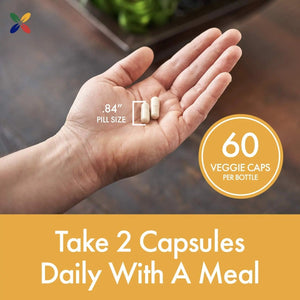 Stop Aging Now - BladderControl360 Formula - Bladder Control Support - Go-Less & Probiotics - Urinary Health Probiotic Supplement - Lactobacillus Rhamnosus, Pumpkin Seed & Soy Germ Extracts - 60 Vcaps Stop Aging NowBuy Supplements Australia