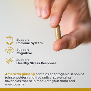 Premier Research Labs American Ginseng Supplement - American Ginseng Capsules, Herbal Ginseng Root Pills, North American Ginseng Herb Extract, Calming Energy Supplement - 60 Plant-Based Capsules Premier Research LabsBuy Supplements Australia