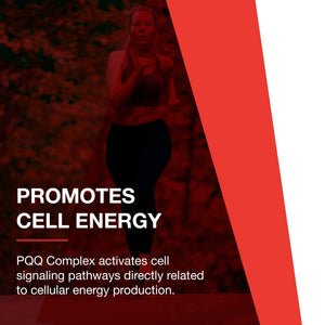 PROTOCOL FOR LIFE BALANCE PQQ Complex - Mitochondrial Health - with CoQ10 & L Carnitine - B Vitamin - Supplement for Energy - 30 Veg Caps PROTOCOL FOR LIFE BALANCE buy supplements Au