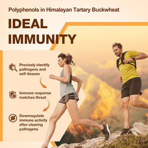Nokuba Polyphenols Supplement for Immune Support | Himalayan Tartary Buckwheat Sourced | Polyphenol Superfood with Quercetin, Curcumin | Immune Booster, Antioxidant, Anti-inflammatory - 120 Capsules Nokuba buy supplements Au